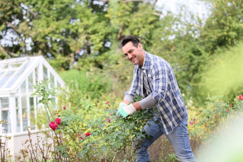 A man in a blue plaid shirt and jeans is tending to a garden during daylight hours in a lush outdoor space, surrounded by vibrant flowering bushes with pink and purple blooms. The garden features a well-maintained grassy lawn in the foreground, with a backdrop of mature trees and shrubs providing natural shade and privacy. To his left, there's a small white greenhouse structure, hinting at vegetable or flower cultivation. The man appears to be pruning or inspecting the plants with care, wearing gardening gloves as part of outdoor maintenance work. The scene is illuminated by soft, natural sunlight, suggesting a clear, pleasant day in Greenwich. The garden's layout includes flower beds bordering the lawn, with soil beds visible among the plants, and a mix of textures and colours that create a lively, inviting outdoor environment. This image subtly supports local gardening and landscaping services, highlighting typical garden features and maintenance activities in a residential setting near Greenwich, UK, aligning with gardening services offered by Gardening Services Greenwich.
