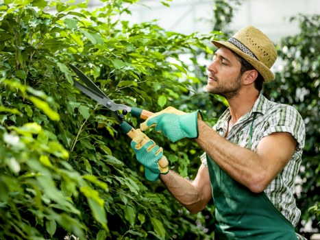 Gardening crew wearing PPE and safety gear before starting work