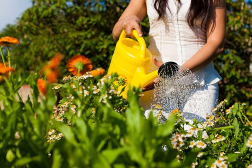 Gardener explaining remediation steps to a homeowner in a garden